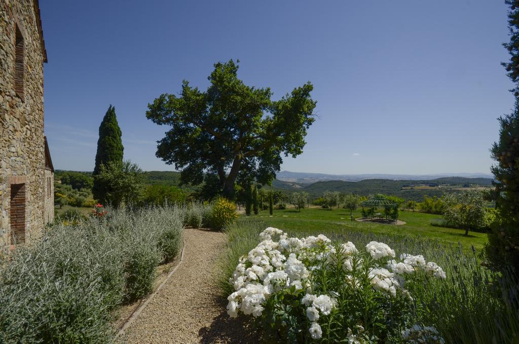 Podere Carceroni Poggi del Sasso Exteriér fotografie